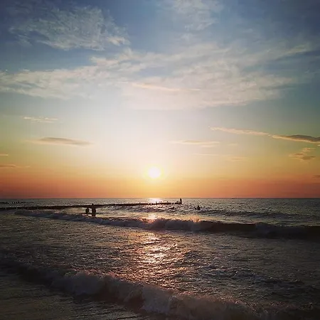 Baltic View - Dwie Sosny