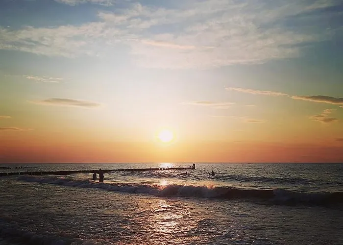 Baltic View - Dwie Sosny